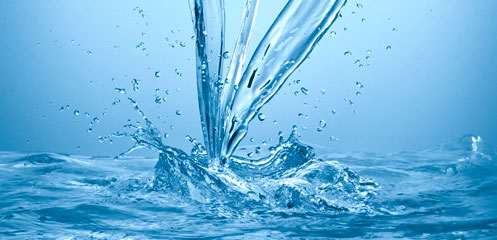 聯(lián)系我們果博東方有限公司客服電話(huà)15906919998（福布斯）